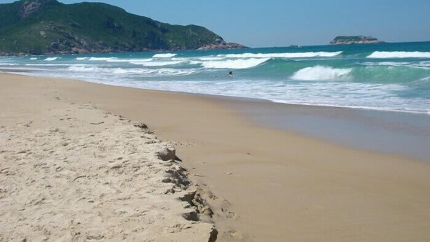 Una spiaggia con onde, una persona che nuota e montagne sullo sfondo.
