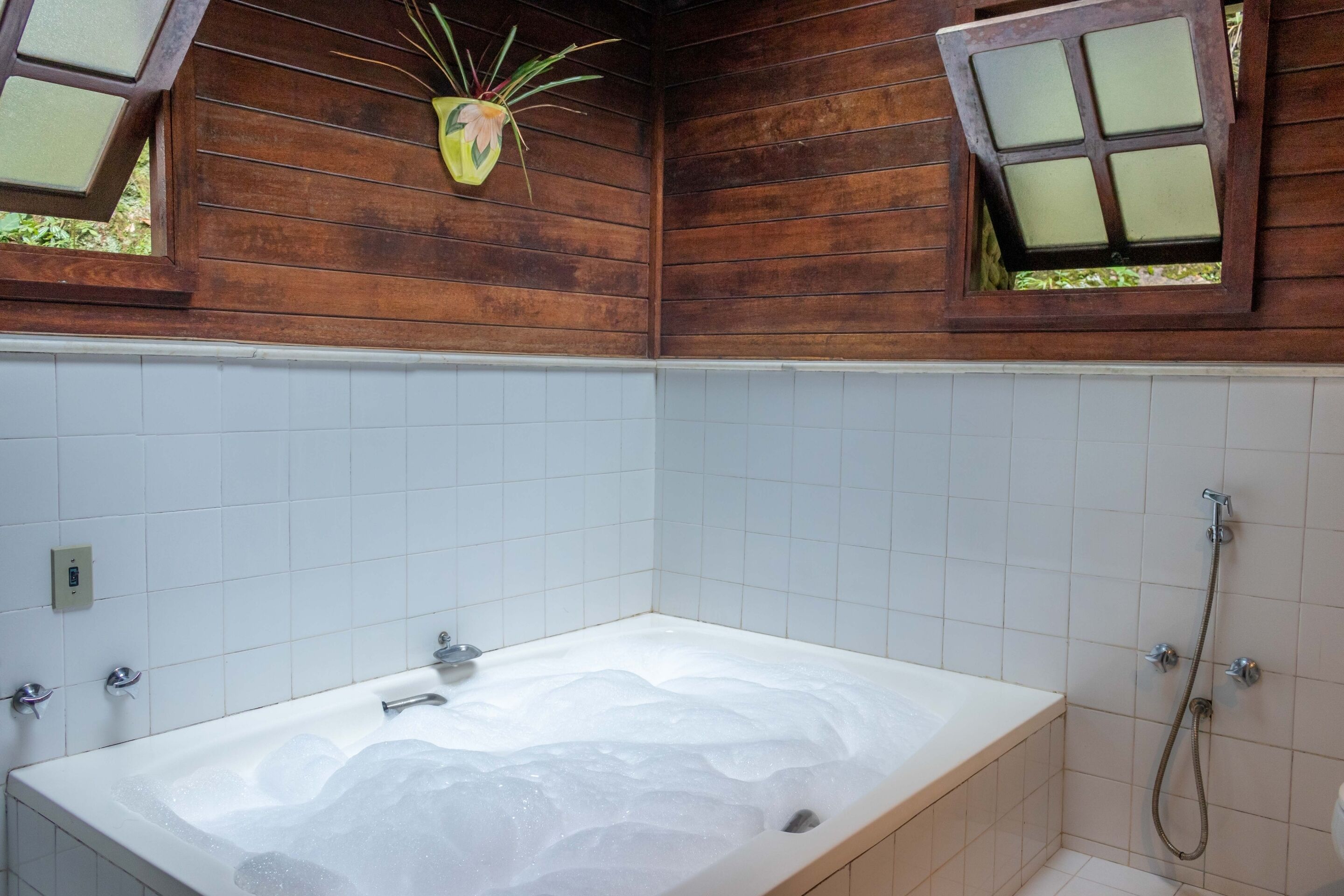 Un baño con una bañera grande, ducha y ventana con planta.