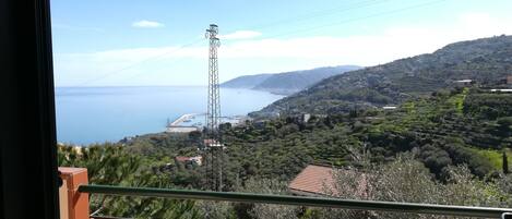 A balcony with a view of a coastal landscape, including a power line tower and a distant shoreline.