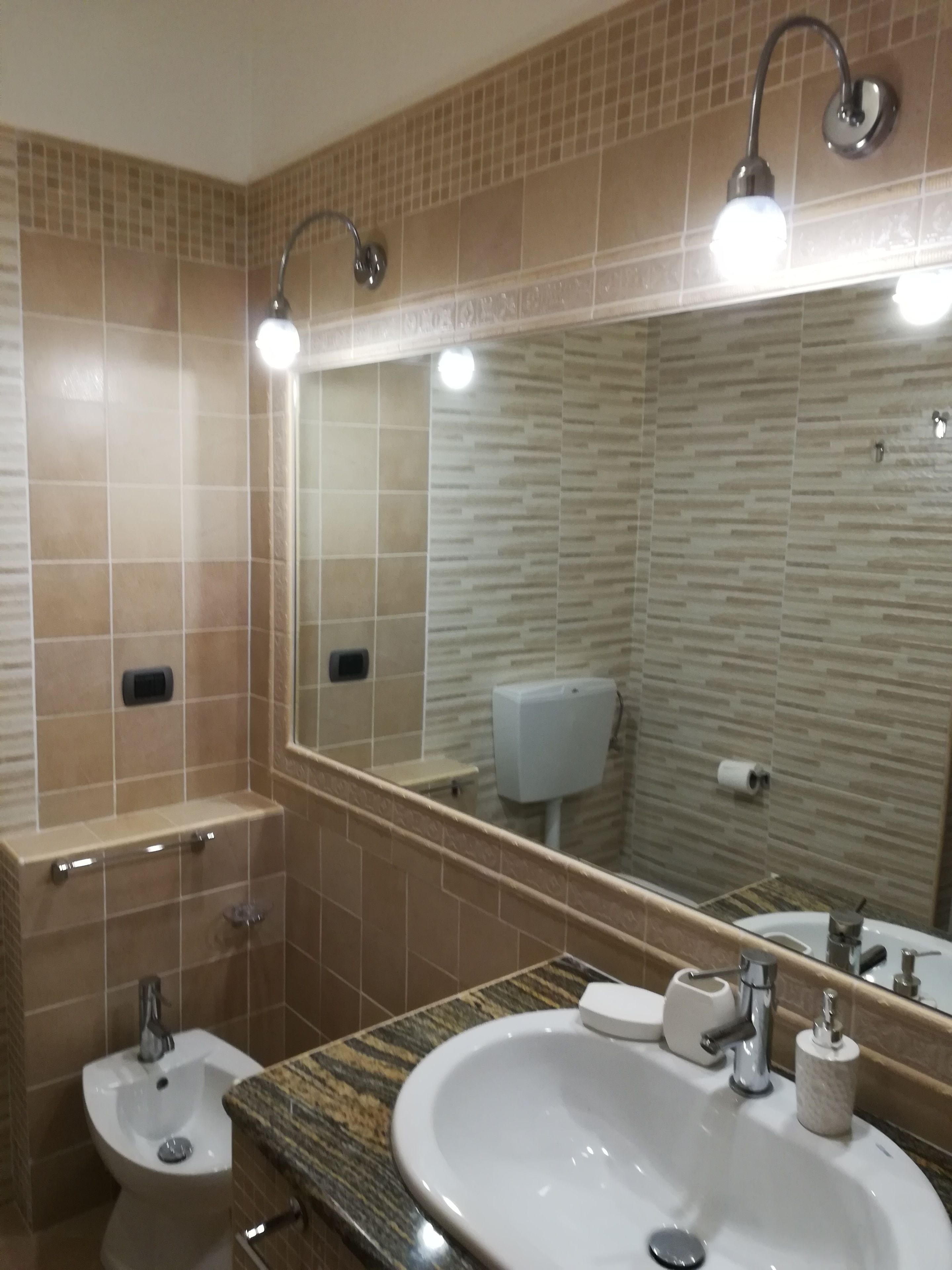 Een badkamer met een toiletbril, een wastafel, een spiegel en een zeepdispenser.