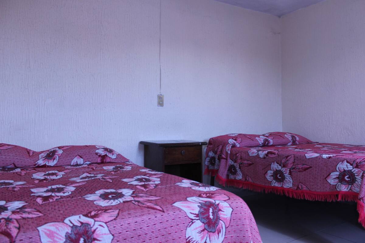 A room with two beds, each covered with a floral-patterned bedspread. There is a small wooden nightstand between the beds.