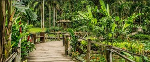 A wooden pathway leading through a lush garden with various tropical plants and a small structure in the background. - Island Accommodation Nadi (Nadi)
