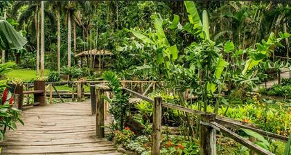 Island Accommodation Nadi