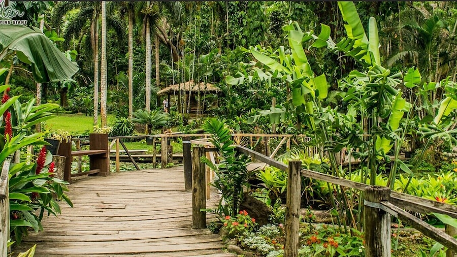 Island Accommodation Nadi