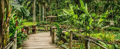 Island Accommodation Nadi