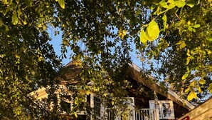 Un bâtiment à deux étages doté d’un balcon, d’une enseigne sur laquelle on peut lire « Attention aux requins » et d’un espace extérieur aménagé pour s’asseoir.