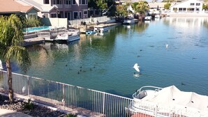 Una marina con barcos amarrados, una piscina y un área cercada con palmeras.