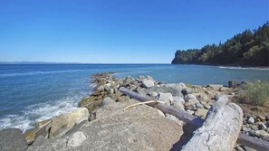 Una costa rocosa con una vista despejada del océano y una colina boscosa al fondo.