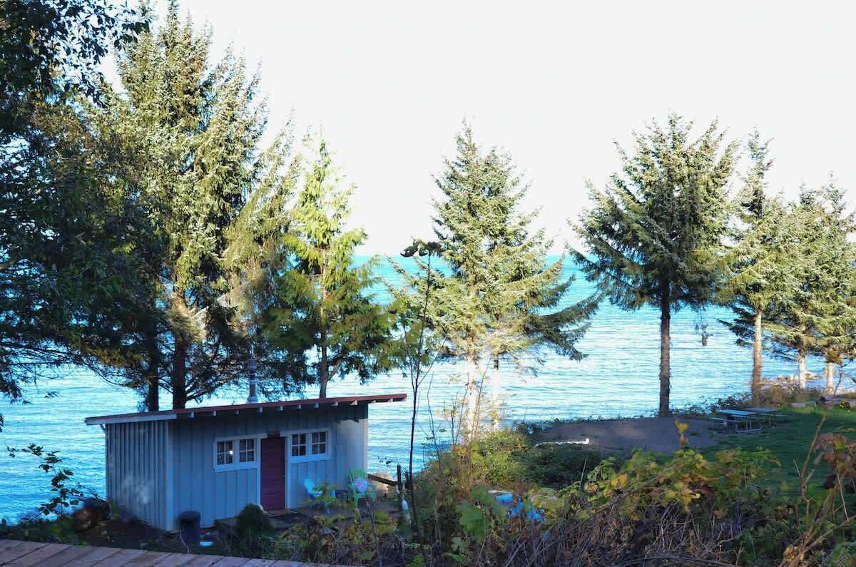 A small cabin by a lake with a dock, surrounded by tall trees.