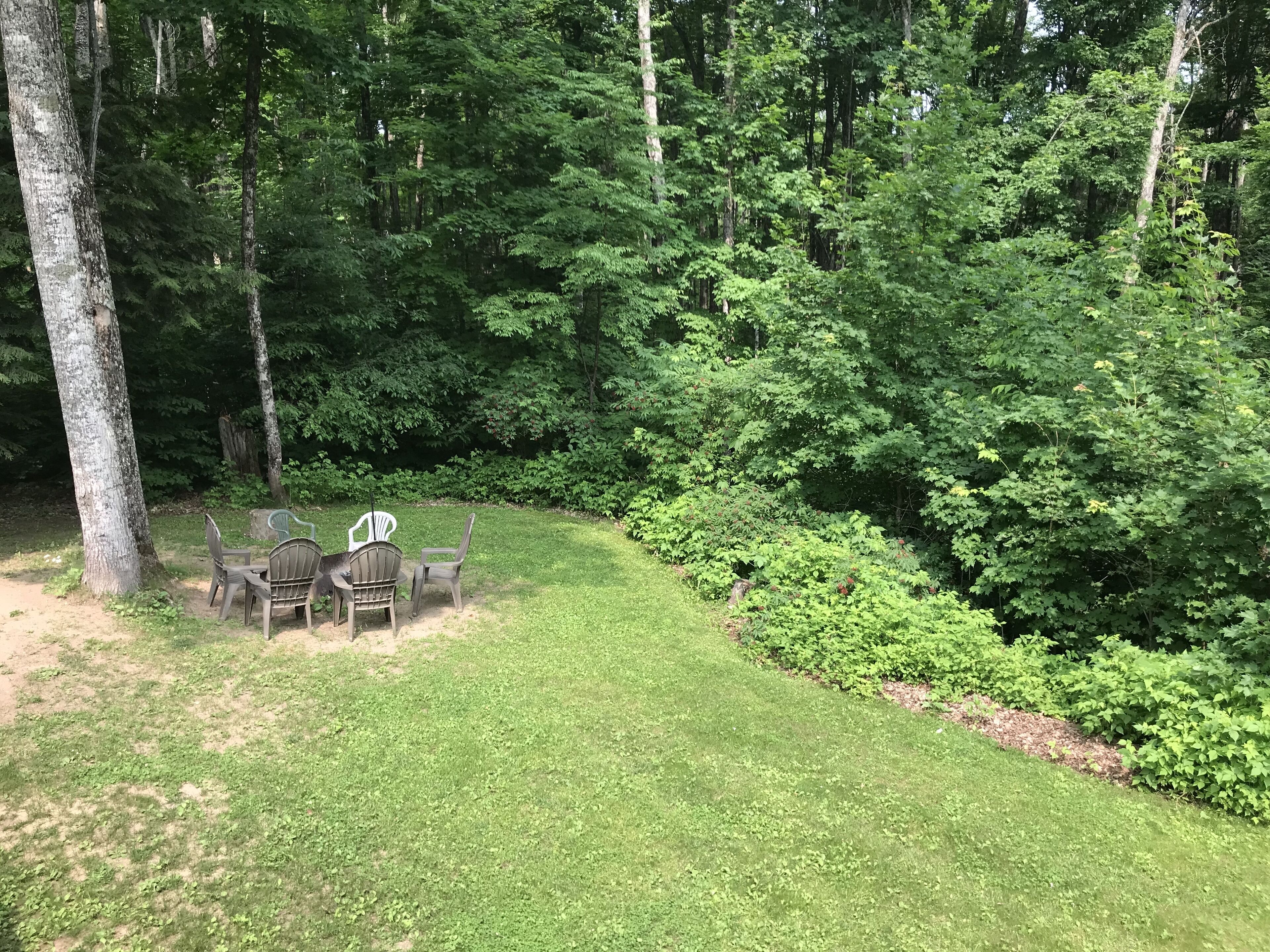 A grassy outdoor area with a small table and four chairs, surrounded by dense trees and shrubs.