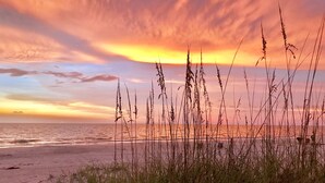 Una playa con pastos altos en primer plano y un atardecer al fondo.