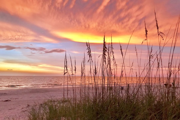 Una spiaggia nelle vicinanze, lettini da mare, teli da spiaggia