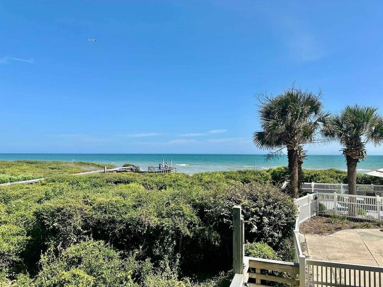 A coastal view with a wooden deck, palm trees, and a clear sky.