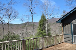 Property grounds - Mountain VIEW! -  Private-Romantic -Secluded -WiFi (Ellijay)
