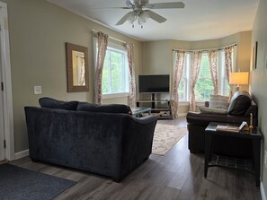 Smart TV, Netflix, DVD player, streaming services