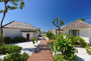 Habitación de diseñador, vista al océano | Vista al jardín