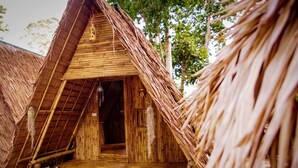 Uma cabana com telhado de palha, interior de madeira, um pequeno alpendre e uma porta.