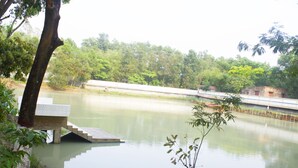 Un lac paisible avec un pont et une petite plateforme.