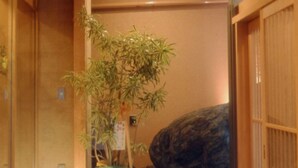 A traditional Japanese interior with wooden flooring, a green plant in a pot, and a stone feature. - Subaruyado Yoshino (Tokushima)