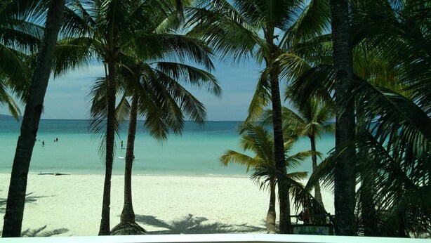 A beach with palm trees and a clear view of the ocean. - Bluewaves Beach House (Boracay Island)