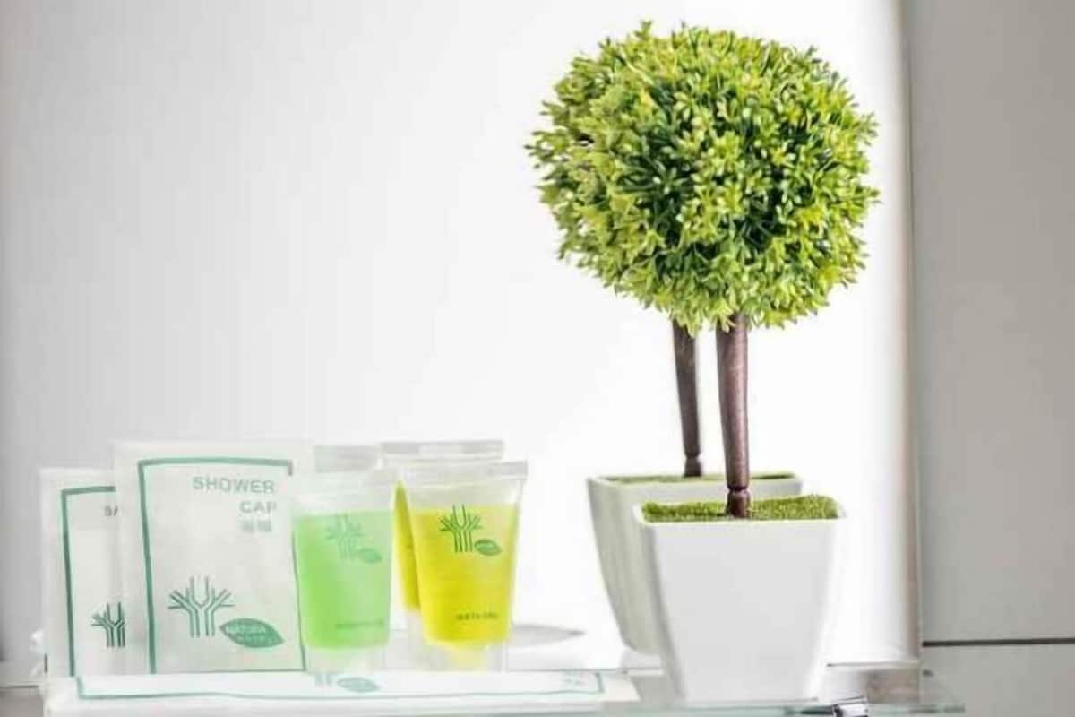 Bathroom amenities | Shower, free toiletries, hair dryer, bidet