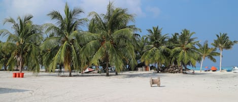 Nära stranden och sportdykning