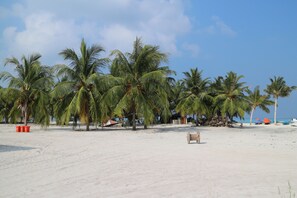 Beach nearby, scuba diving - Salty Beach House (Hanimaadhoo)