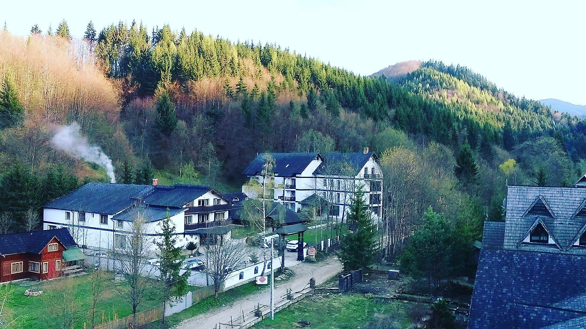 A cluster of traditional houses with steep roofs, surrounded by dense forest and a mountain in the background.