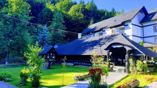 A traditional chalet with a steep roof, surrounded by lush greenery and a well-maintained garden. - Casa Octavian (Sucevita)