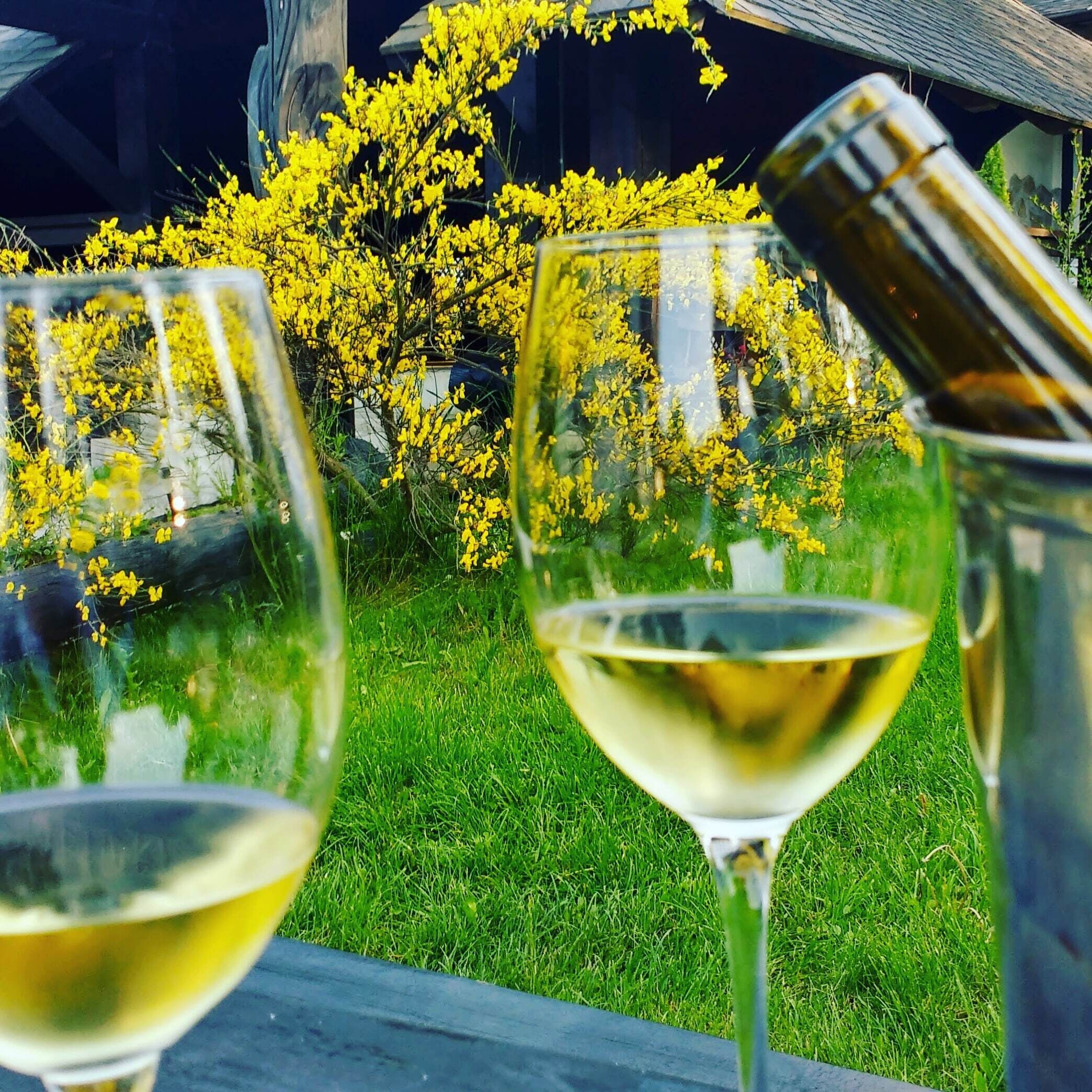 Dos copas de vino sobre una mesa, con un área de césped y flores amarillas al fondo.