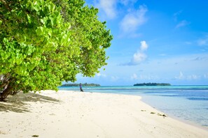 On the beach