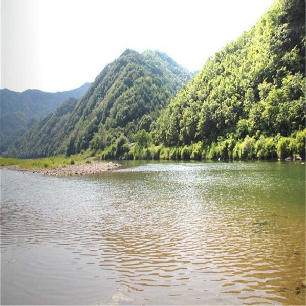 Property grounds - Ecopia Pension (Pyeongchang)