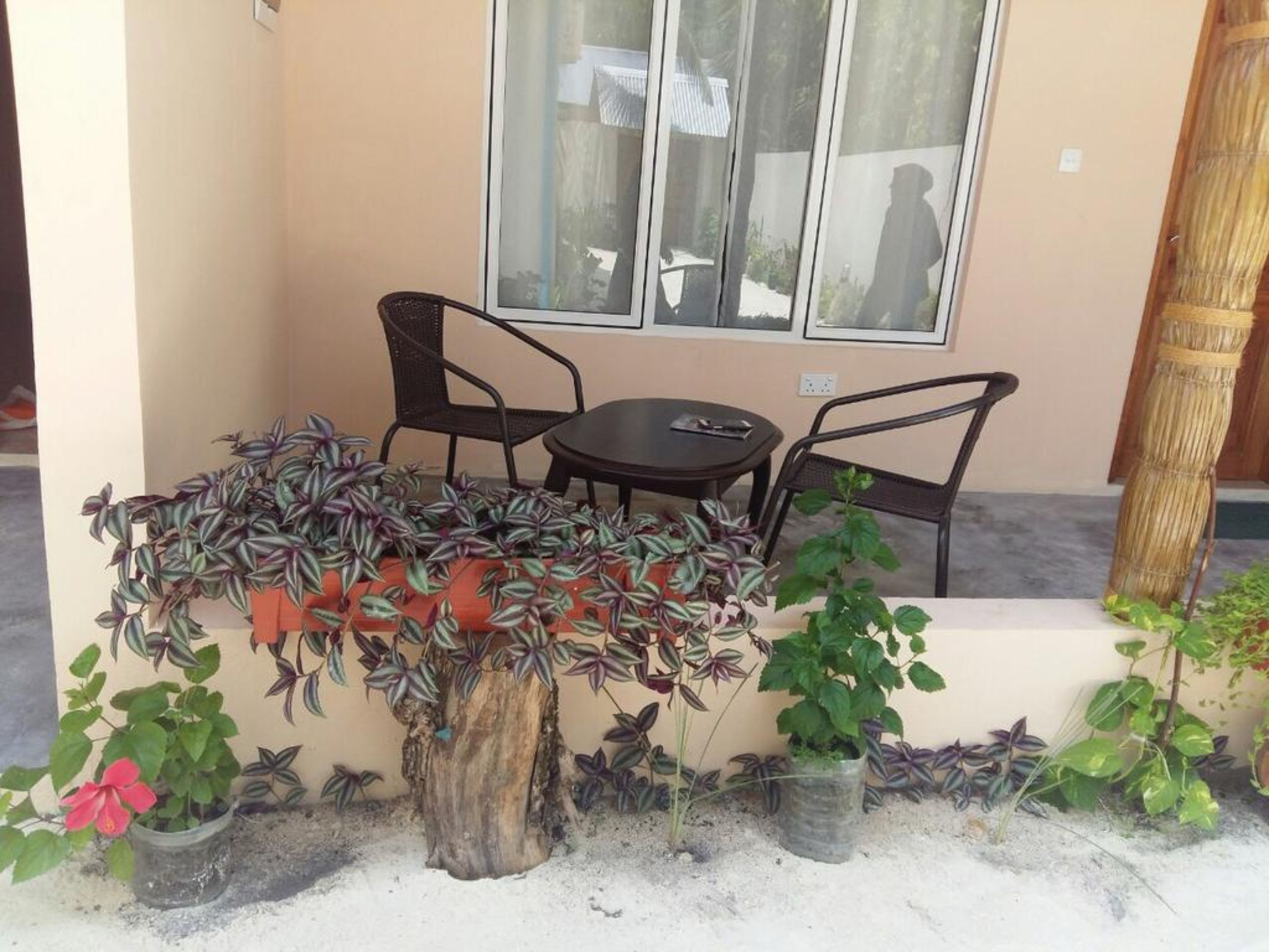 Un espacio al aire libre con mesa y sillas, rodeado de macetas con plantas y un gran tocón de árbol.