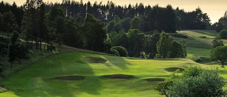 Um campo de golfe com colinas ondulantes, árvores e uma bandeira marcando o buraco.