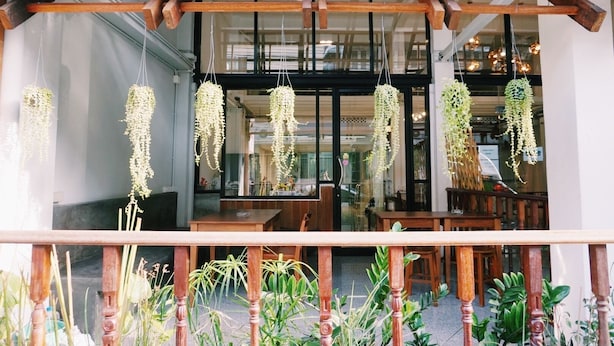A restaurant with hanging plants and wooden furniture. - Boon Street Hostel (Bangkok)