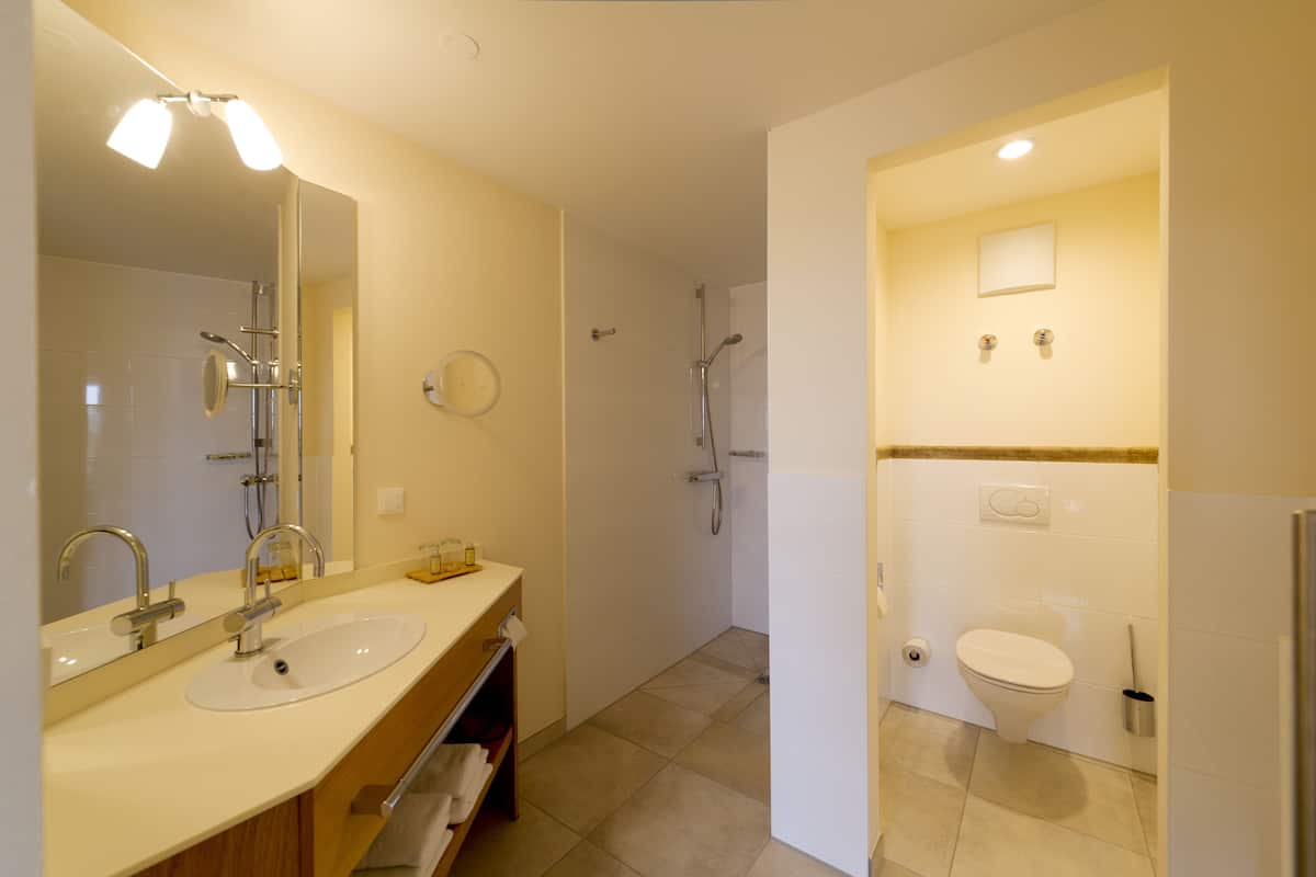 shower, free toiletries, hair dryer, towels