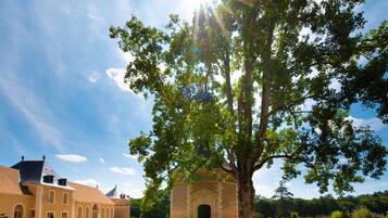 Un patio con un árbol grande, un edificio con una cúpula y un cielo despejado.