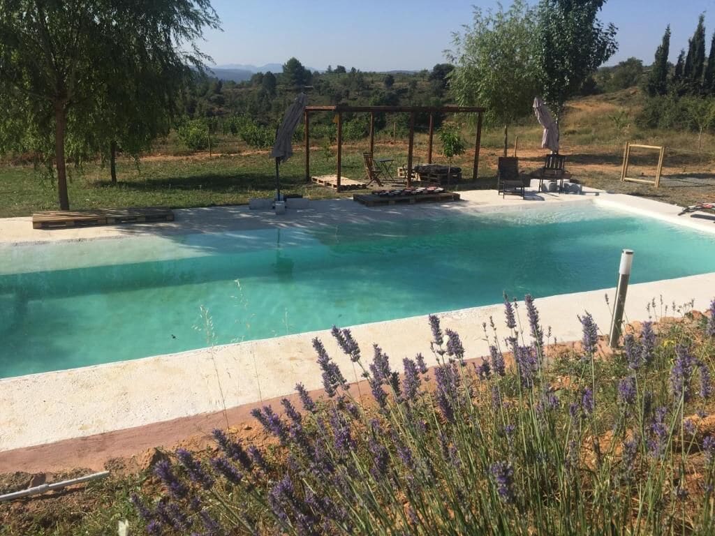 Seasonal outdoor pool, a rooftop pool, sun loungers
