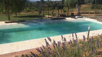 Seasonal outdoor pool, a rooftop pool, sun loungers