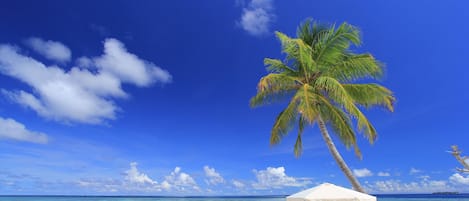 Een privéstrand, wit zand, ligstoelen aan het strand, parasols