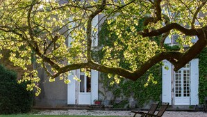 Un árbol con una rama en forma de corazón frente a un edificio con contraventanas blancas y un banco al frente.