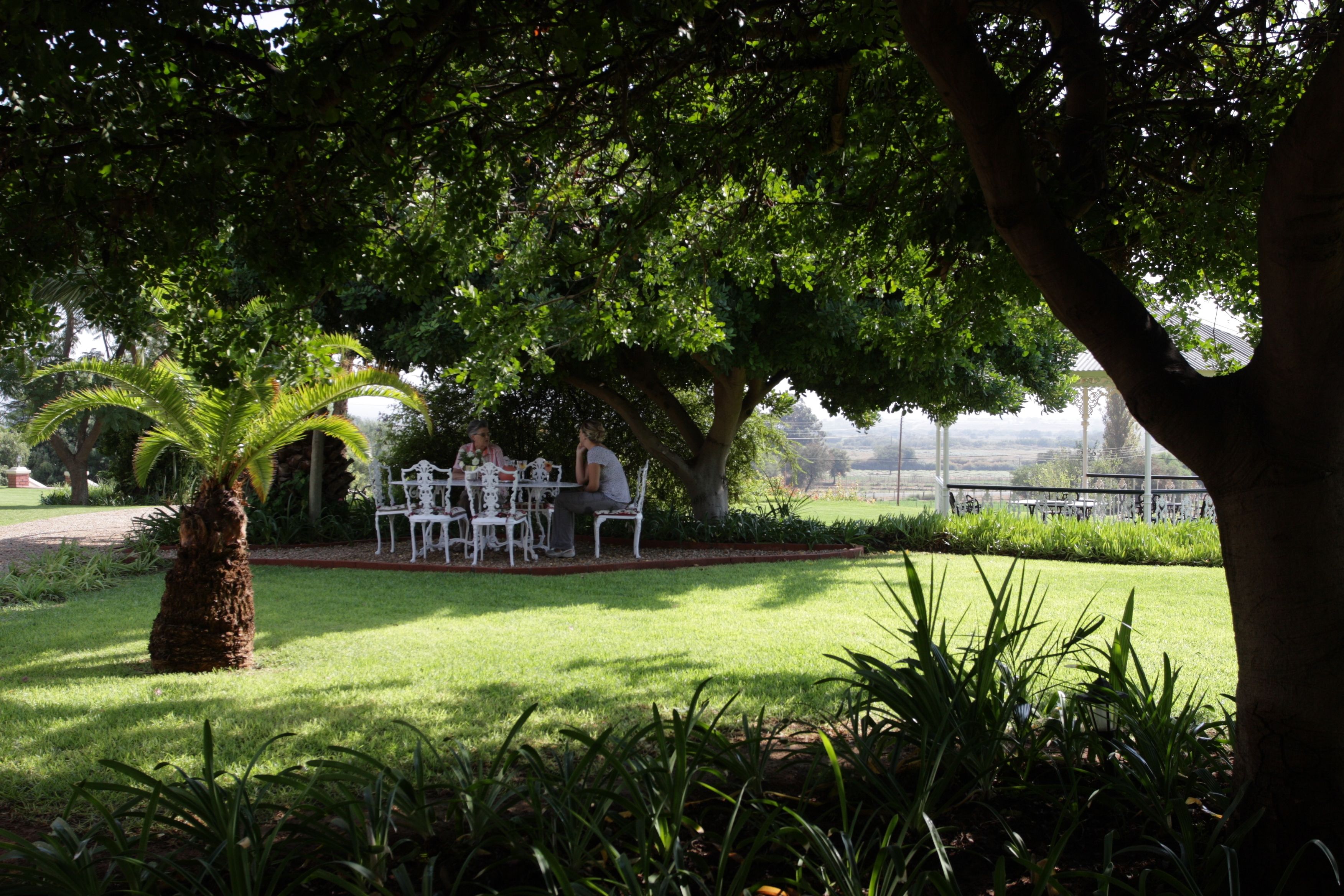 A garden area with a table and chairs under a large tree.