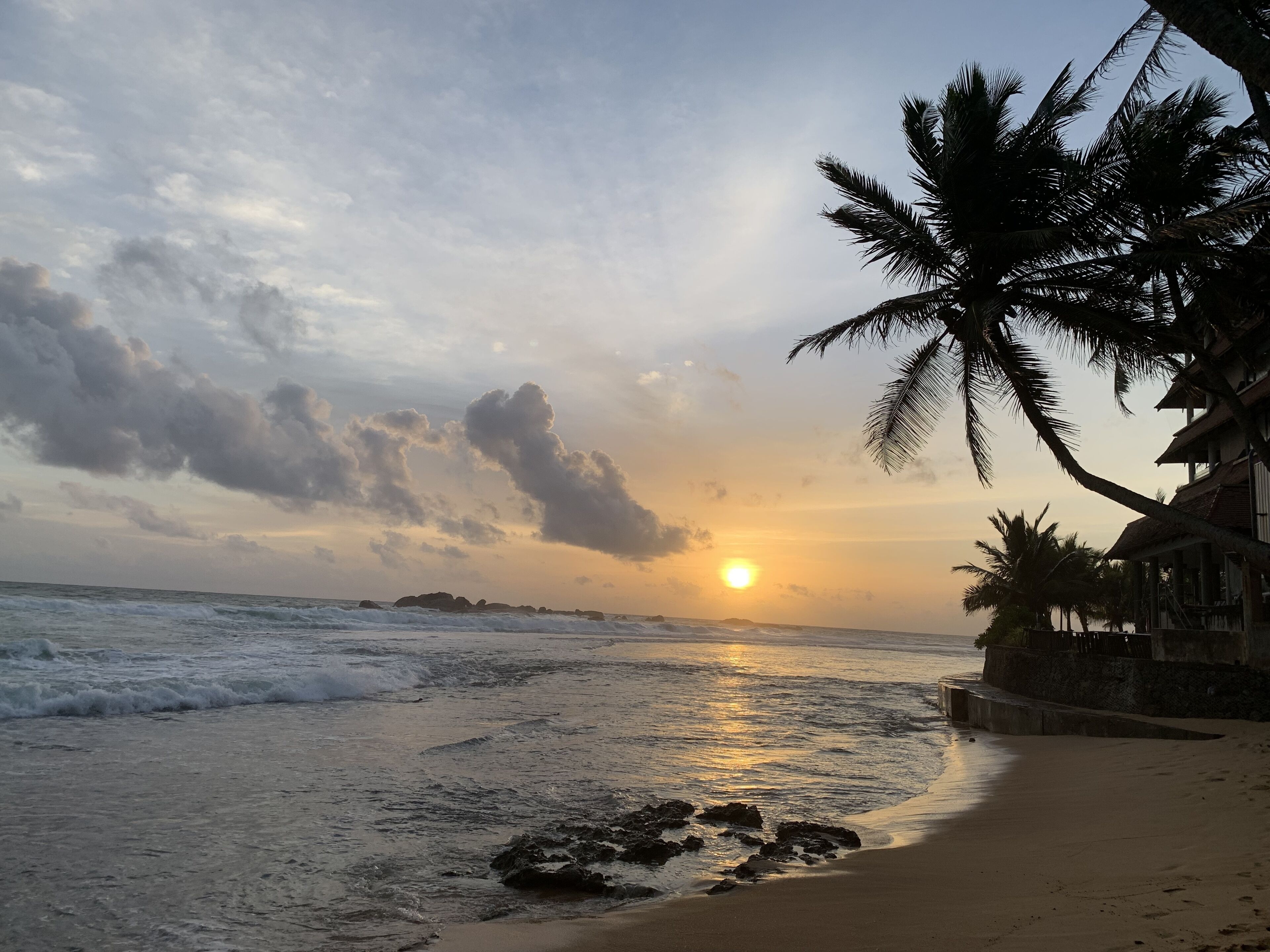 Una playa con un atardecer, palmeras y afloramientos rocosos.