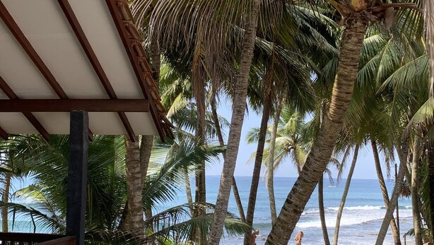 A beach with palm trees, a wooden deck, and a view of the ocean. - Turtles Rest and Curry Bowl (Hikkaduwa)