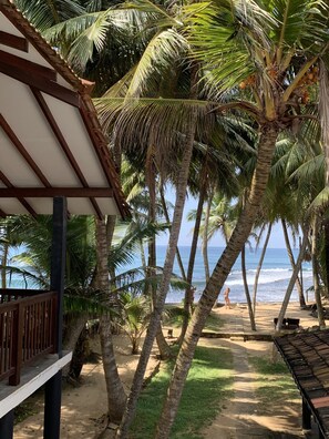 A beach with palm trees, a wooden deck, and a view of the ocean. - Turtles Rest and Curry Bowl (Hikkaduwa)