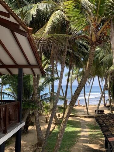 タートルズ レスト アンド カリー ボウル