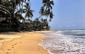 On the beach, sun-loungers, beach towels - Turtles Rest and Curry Bowl (Hikkaduwa)