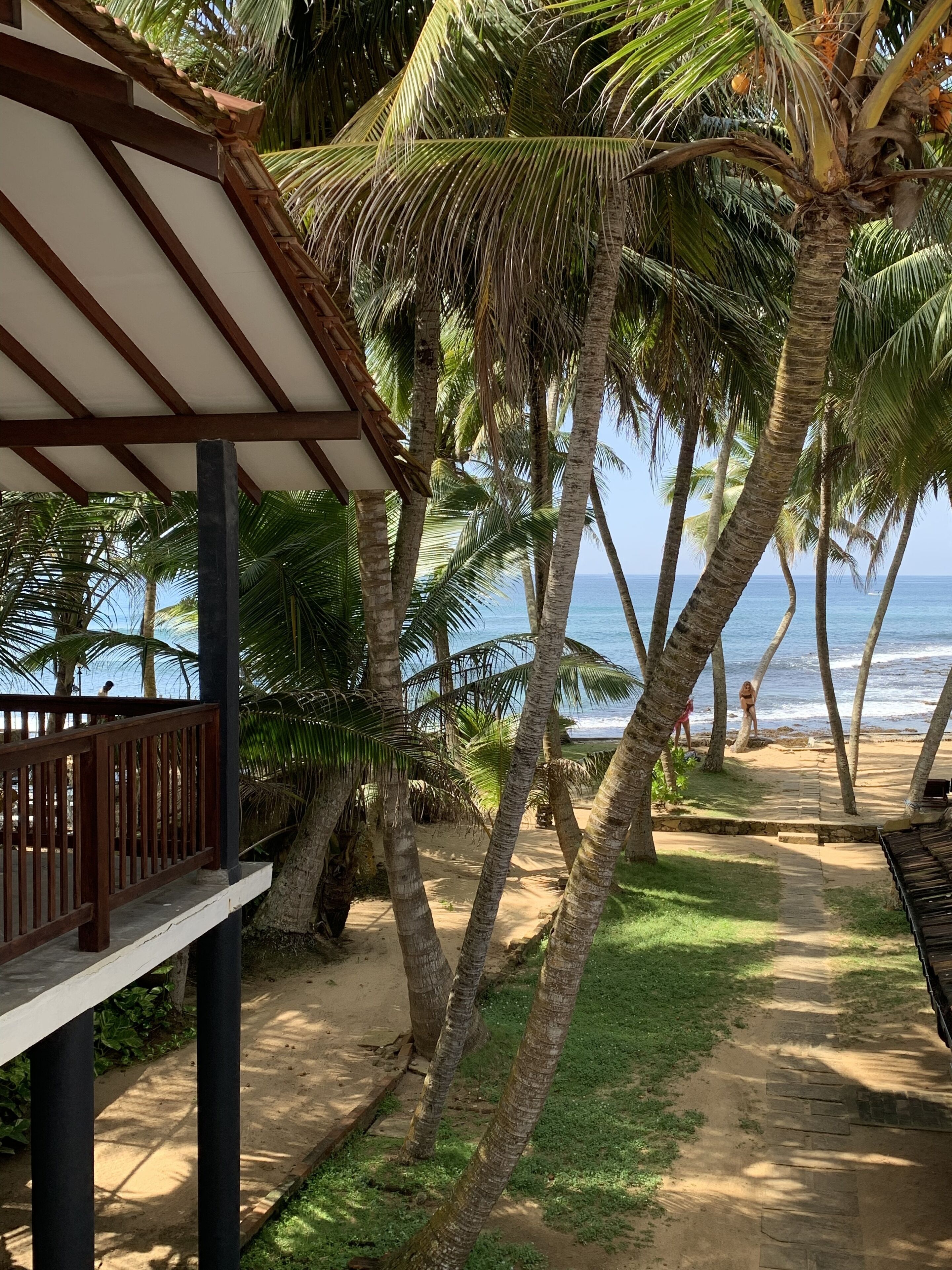 A beachside pathway with palm trees, a wooden deck, and a view of the ocean.