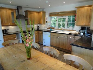 Ferienhaus | Eigene Küche | Kühlschrank, Mikrowelle, Ofen, Herdplatte