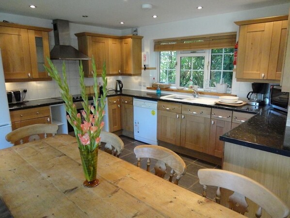 House | Private kitchen | Fridge, microwave, oven, stovetop